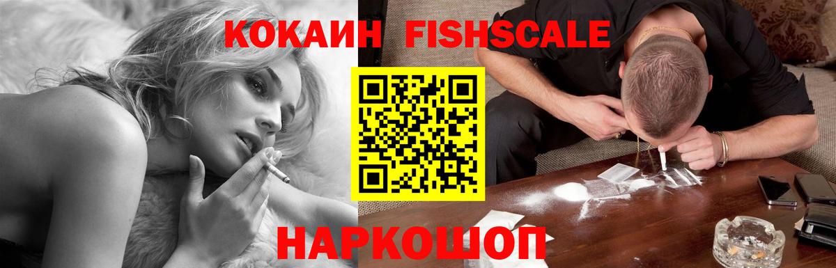 Cocaine Fish Scale  Кокаин 98%  COCAIN  Выборг  где купить   Вход с VPN 