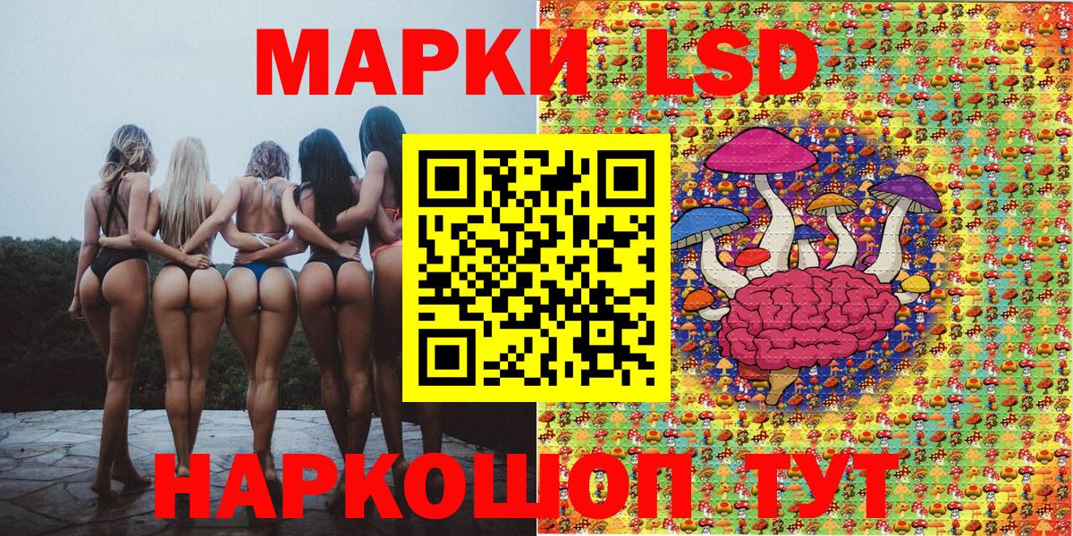 Марки N-bome 1,5мг  Вход с VPN  Выборг  Марки N-bome 1,5мг 