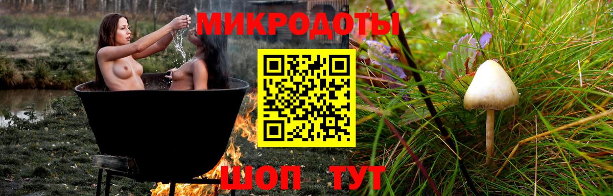 Выборг  Псилоцибиновые грибы прущие грибы  Галлюциногенные грибы прущие грибы  Вход с VPN 